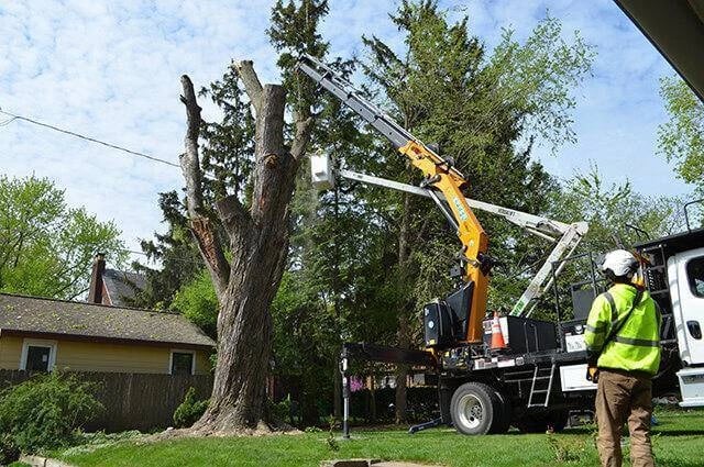 Tree removal with crane in residential area